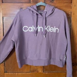 Calvin Klein Dusty Lavender Performance Hoodie
